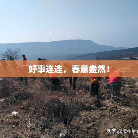 好事连连，春意盎然！