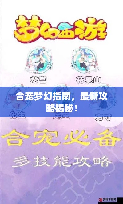 合宠梦幻指南，最新攻略揭秘！