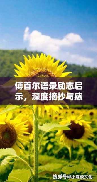 傅首尔语录励志启示，深度摘抄与感悟分享