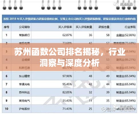 苏州函数公司排名揭秘，行业洞察与深度分析