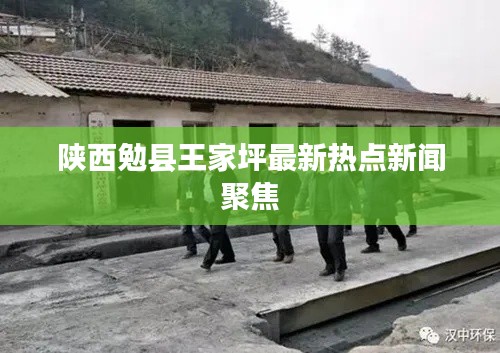 陕西勉县王家坪最新热点新闻聚焦