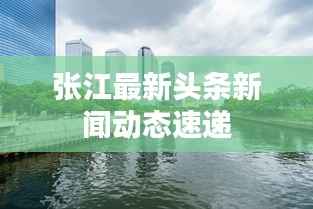 张江最新头条新闻动态速递