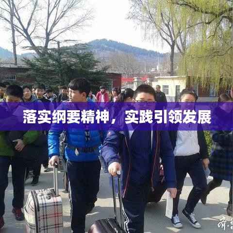 落实纲要精神，实践引领发展