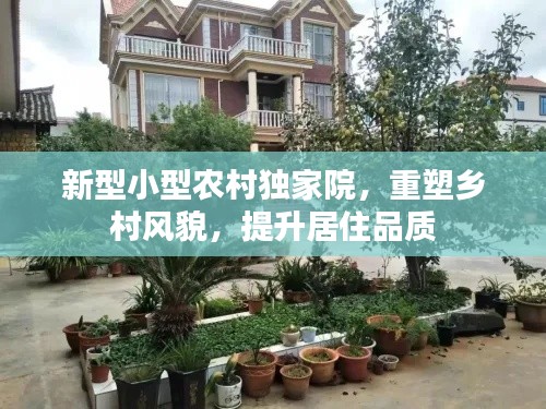 新型小型农村独家院，重塑乡村风貌，提升居住品质