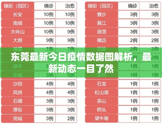 东莞最新今日疫情数据图解析，最新动态一目了然
