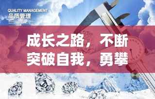 成长之路，不断突破自我，勇攀高峰之巅