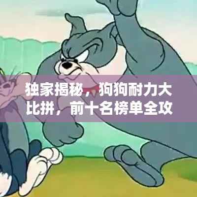 独家揭秘，狗狗耐力大比拼，前十名榜单全攻略！