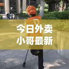 今日外卖小哥最新动态速递