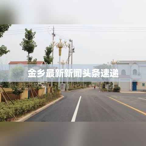 金乡最新新闻头条速递