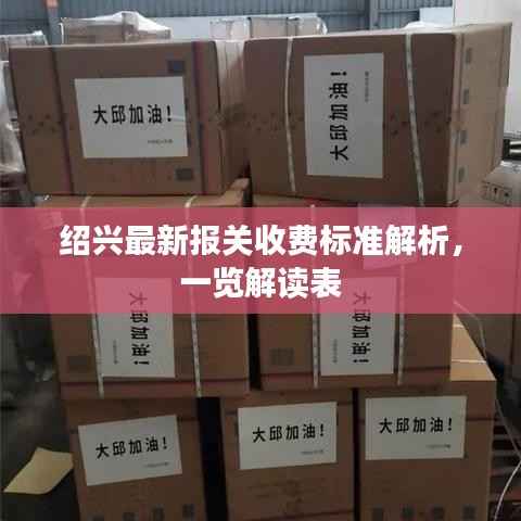 绍兴最新报关收费标准解析，一览解读表