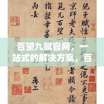 百望九赋官网，一站式的解决方案，百度权威收录