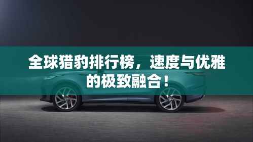 全球猎豹排行榜，速度与优雅的极致融合！