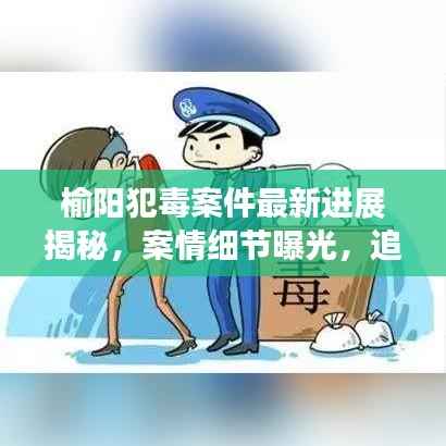 榆阳犯毒案件最新进展揭秘，案情细节曝光，追踪真相不止步