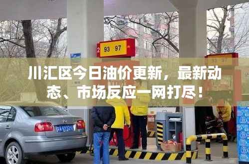 川汇区今日油价更新，最新动态、市场反应一网打尽！