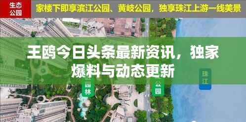 王鸥今日头条最新资讯，独家爆料与动态更新
