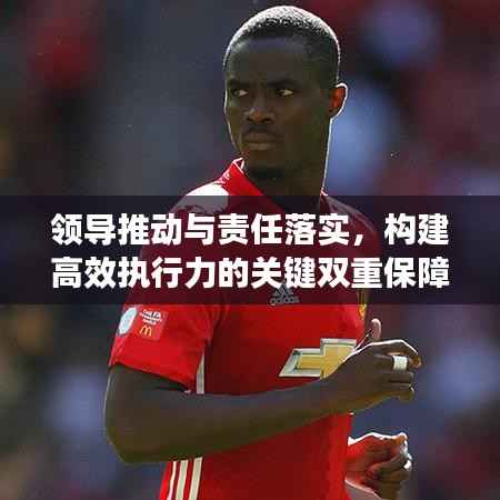 领导推动与责任落实，构建高效执行力的关键双重保障