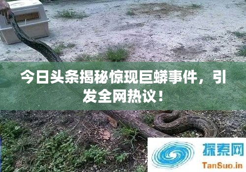 今日头条揭秘惊现巨蟒事件，引发全网热议！