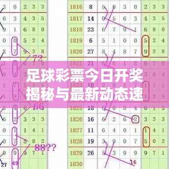 足球彩票今日开奖揭秘与最新动态速递