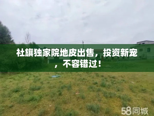 荆钗布裙 第4页