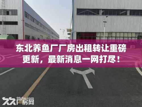 东北养鱼厂厂房出租转让重磅更新，最新消息一网打尽！