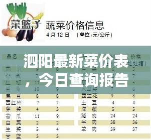 泗阳最新菜价表，今日查询报告全解析