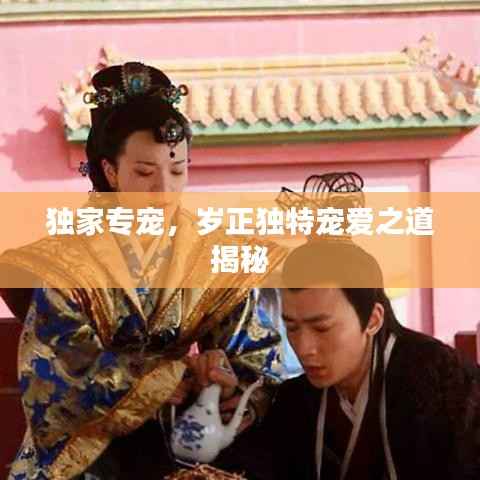 独家专宠，岁正独特宠爱之道揭秘