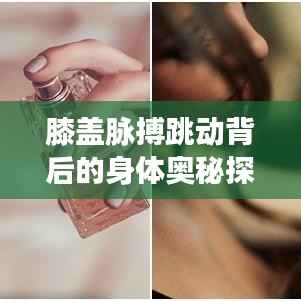 膝盖脉搏跳动背后的身体奥秘探索