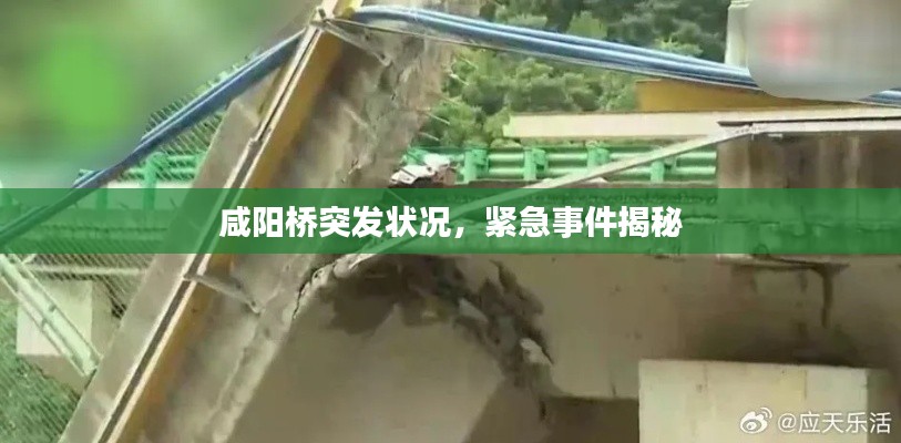 咸阳桥突发状况，紧急事件揭秘