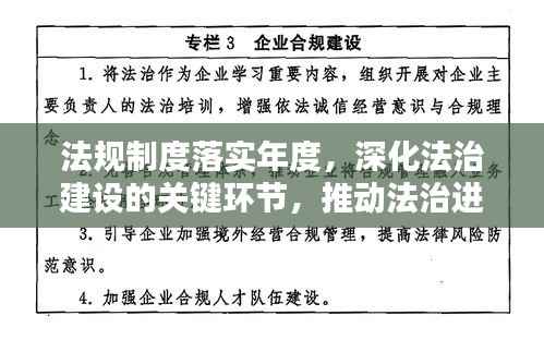 法规制度落实年度，深化法治建设的关键环节，推动法治进程再提速