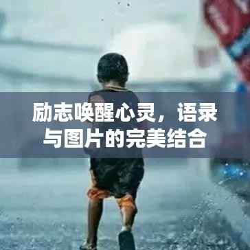 励志唤醒心灵，语录与图片的完美结合