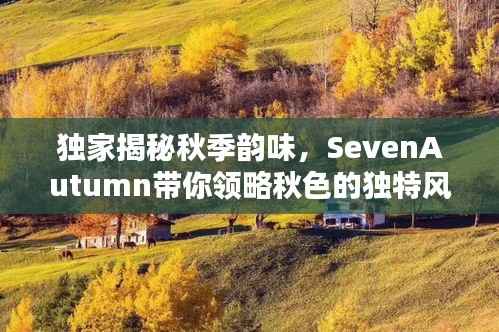独家揭秘秋季韵味，SevenAutumn带你领略秋色的独特风情