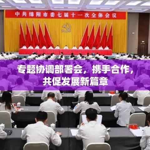 专题协调部署会，携手合作，共促发展新篇章
