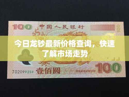 今日龙钞最新价格查询，快速了解市场走势