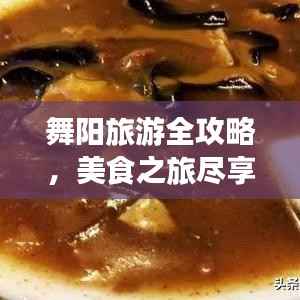 舞阳旅游全攻略，美食之旅尽享风味盛宴！