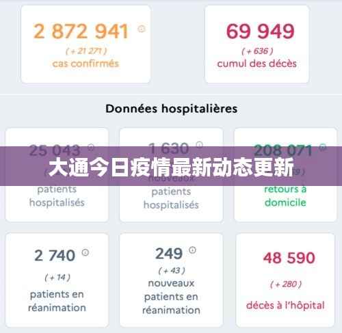 大通今日疫情最新动态更新