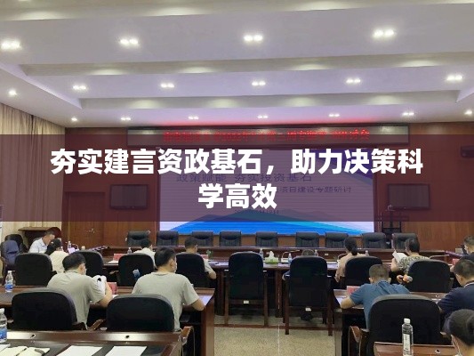 夯实建言资政基石，助力决策科学高效