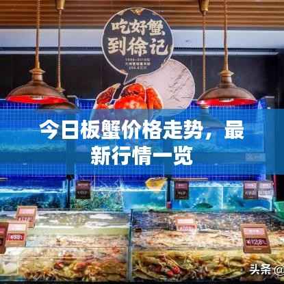 今日板蟹价格走势，最新行情一览