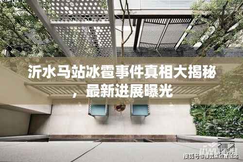 沂水马站冰雹事件真相大揭秘，最新进展曝光