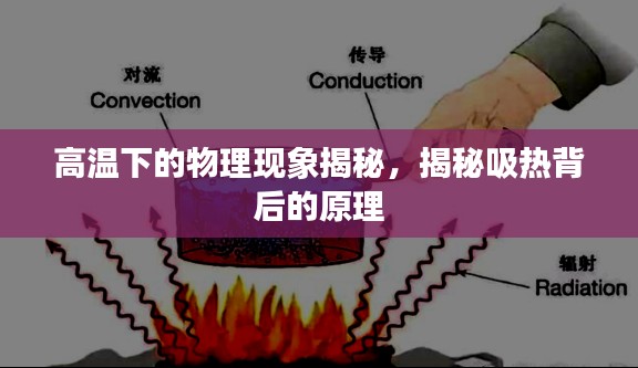 乌鸟私情 第5页