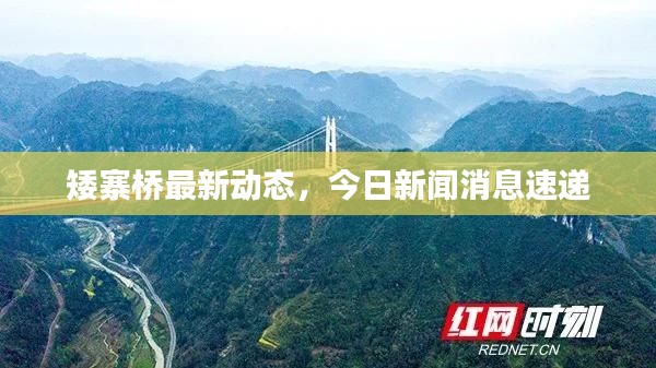 矮寨桥最新动态，今日新闻消息速递