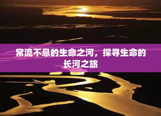 常流不息的生命之河，探寻生命的长河之旅