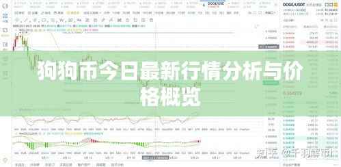 狗狗币今日最新行情分析与价格概览