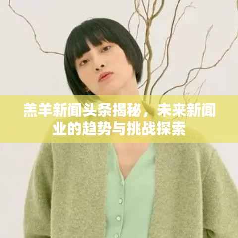 羔羊新闻头条揭秘，未来新闻业的趋势与挑战探索
