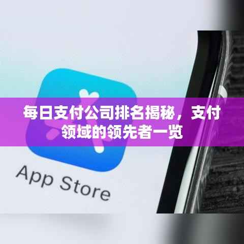 每日支付公司排名揭秘，支付领域的领先者一览