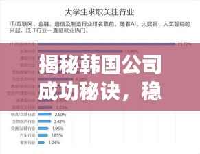 揭秘韩国公司成功秘诀，稳居行业榜首之路！