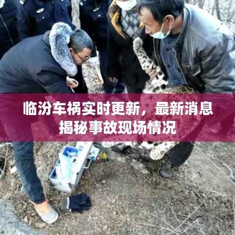 临汾车祸实时更新，最新消息揭秘事故现场情况