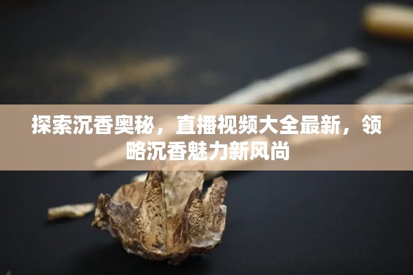 探索沉香奥秘，直播视频大全最新，领略沉香魅力新风尚