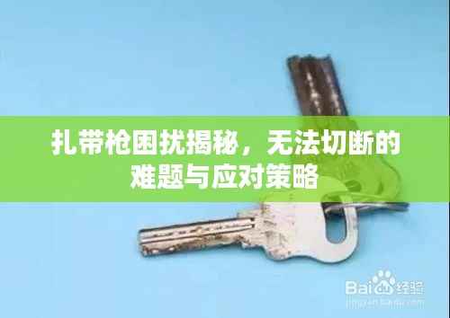 扎带枪困扰揭秘，无法切断的难题与应对策略