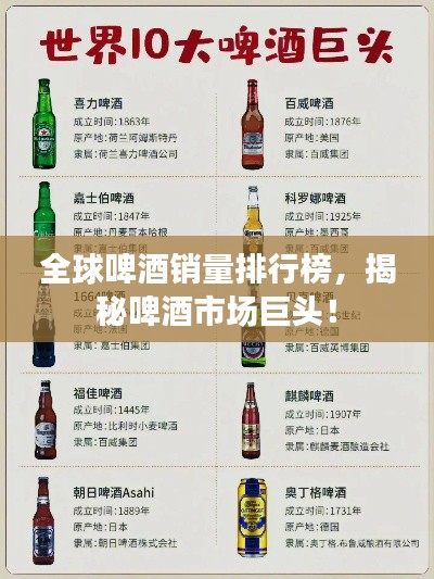 全球啤酒销量排行榜，揭秘啤酒市场巨头！