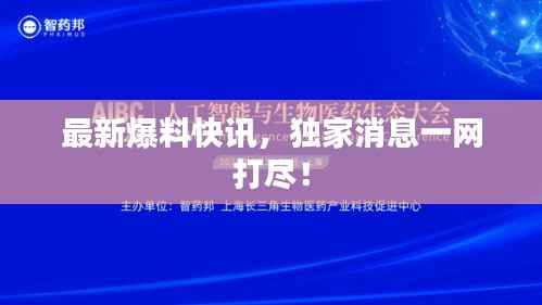 最新爆料快讯，独家消息一网打尽！